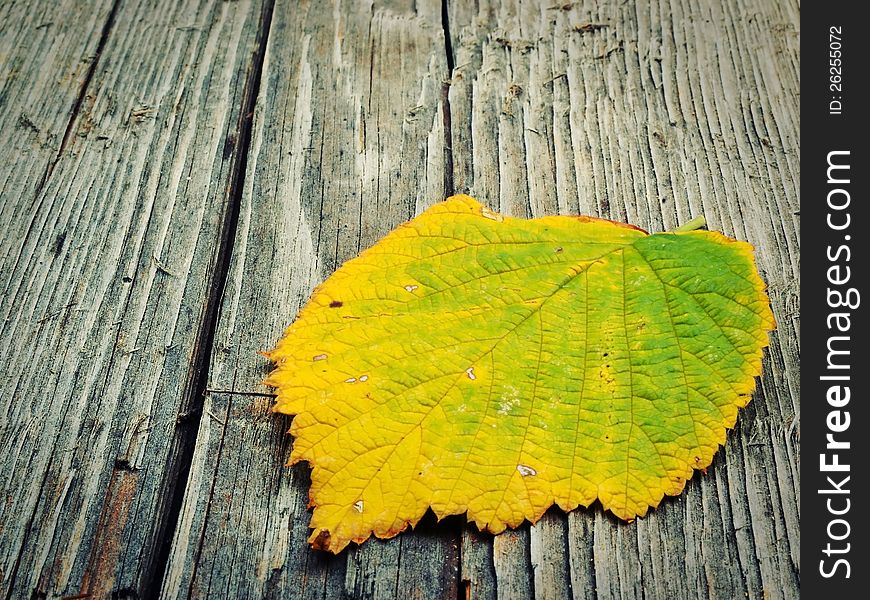 Yellow autumn leaf on wooden background
