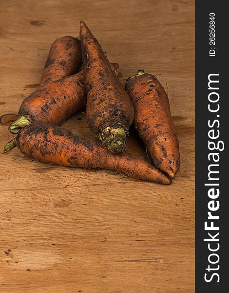 Fresh Harvested Carrots