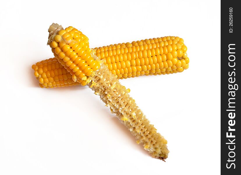 Two boiled corn on white background.