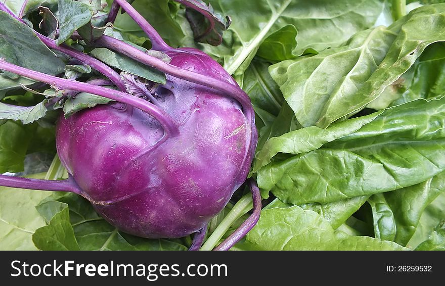 Purple kohlrabi and spinach leaves