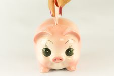 Pink Piggy Bank With Money. Stock Image