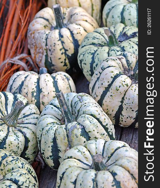 White and green striped pumpkins