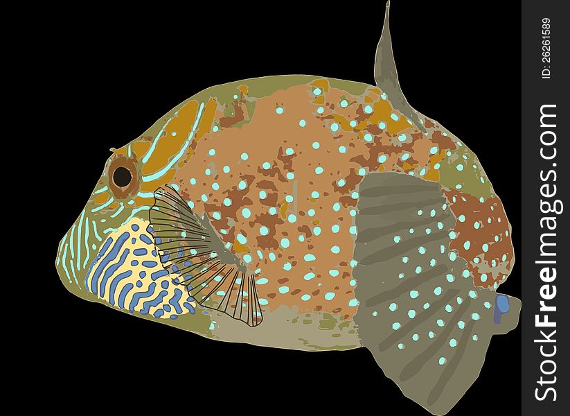 Ambon Toby on black illustration; one of the more color pufferfishes in the oceans.
