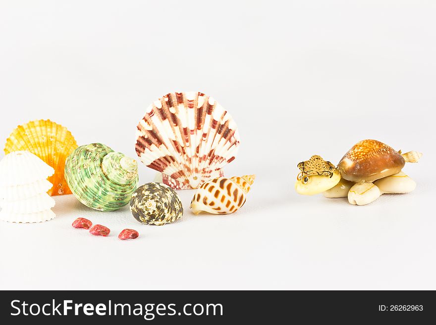 The souvenir is made of seashell on grey background. The souvenir is made of seashell on grey background.
