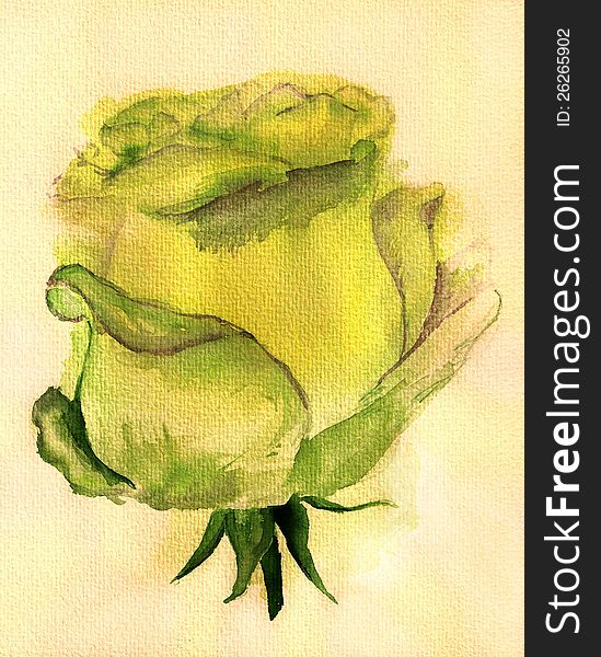 Watercolor image of yellow rose on textured background