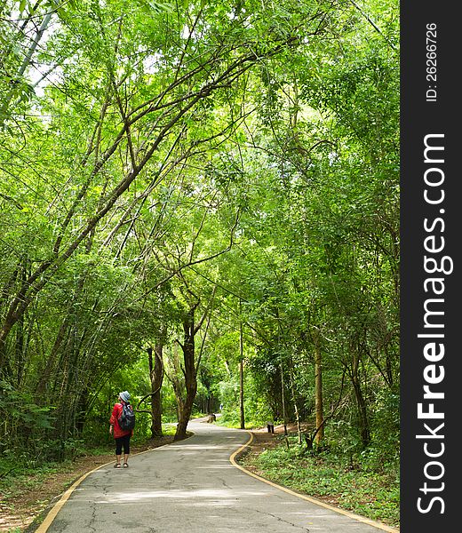 Traveler on walkway in forest of national park in Thailand. Traveler on walkway in forest of national park in Thailand