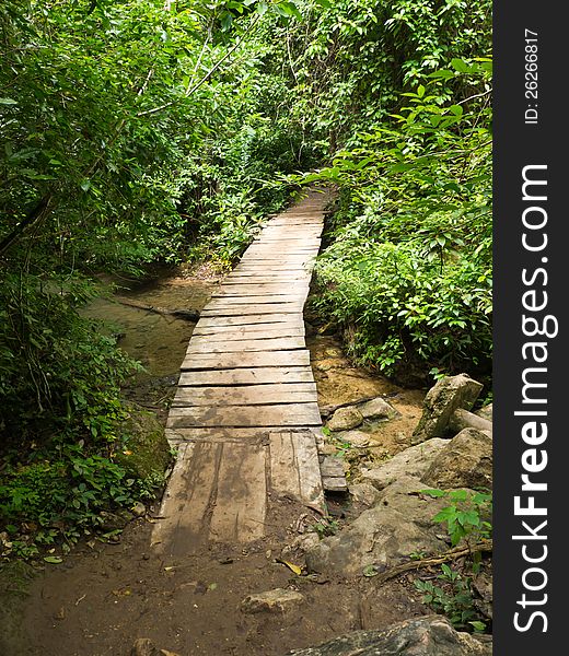 Boardwalk in forest of national park in Thailand