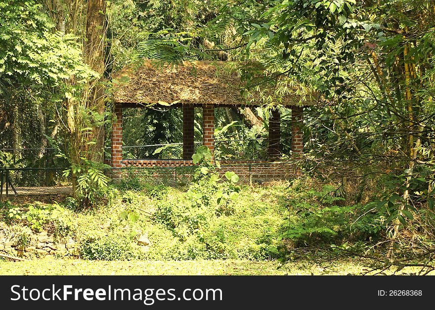 Jungle hut in deep vegetation with many trees and plants