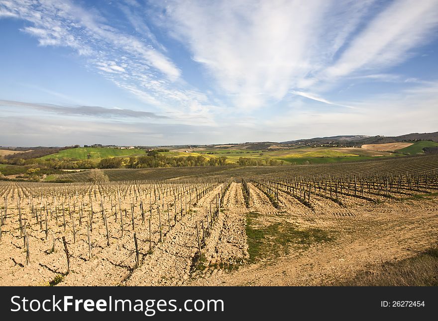 Countryside in Chianti, Tuscany, Italy