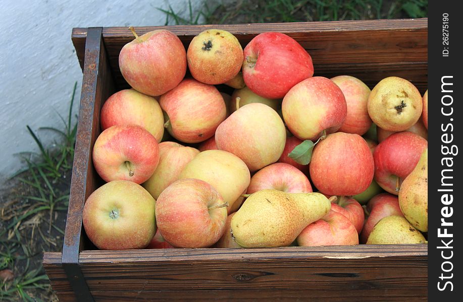 Harvest of ripe apples and pears for gastronomic background