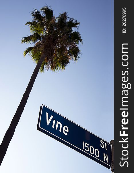 Palm Tree Vine Street Sign Hollywood California