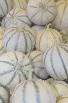 Cantaloupe Melons At The Market Royalty Free Stock Image Cantaloupe Melons At The Market Royalty Free Stock Image