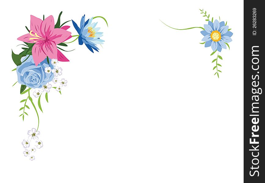 Color flowers on white background. Color flowers on white background