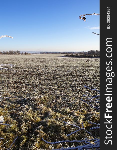 Winter landscape with frost on the ground and a blue sky. Winter landscape with frost on the ground and a blue sky.