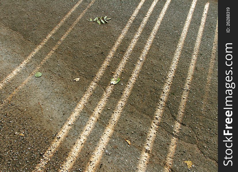 Sunbeams on the asphalt surface in an autumn season. Sunbeams on the asphalt surface in an autumn season.