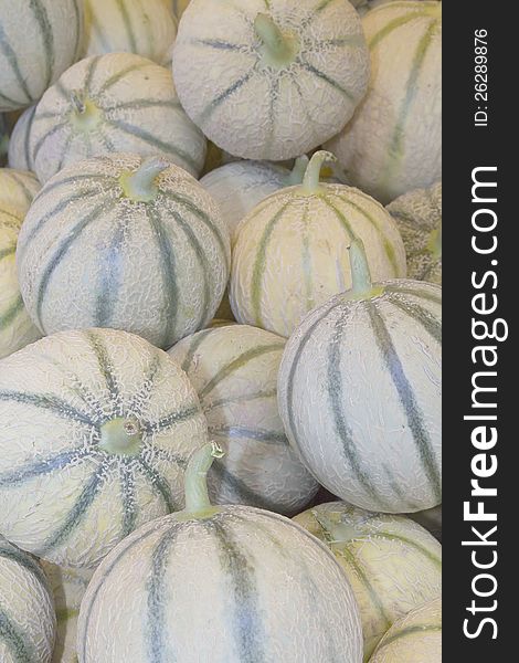 Cantaloupe melons ready for sale on the market. Cantaloupe melons ready for sale on the market