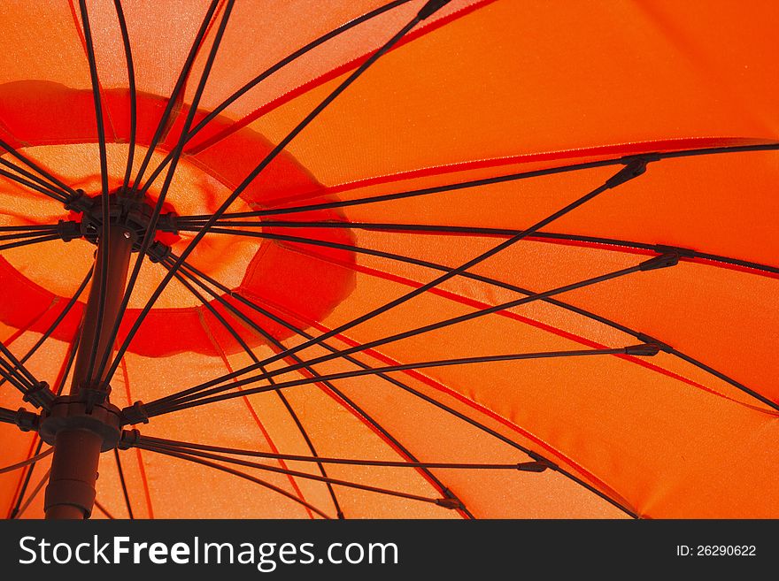 A view from under an orange umbrella. Horizontally.