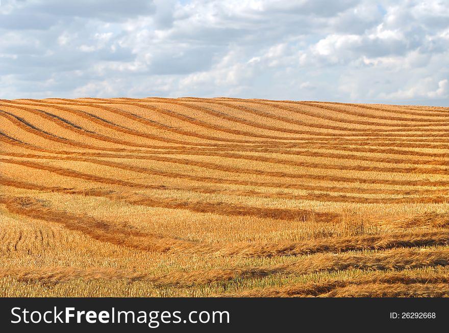 Section of rolling prairie field in the American mid-west with swaths from harvesting.  Large clouds in the background.  Suitable for background. Section of rolling prairie field in the American mid-west with swaths from harvesting.  Large clouds in the background.  Suitable for background.