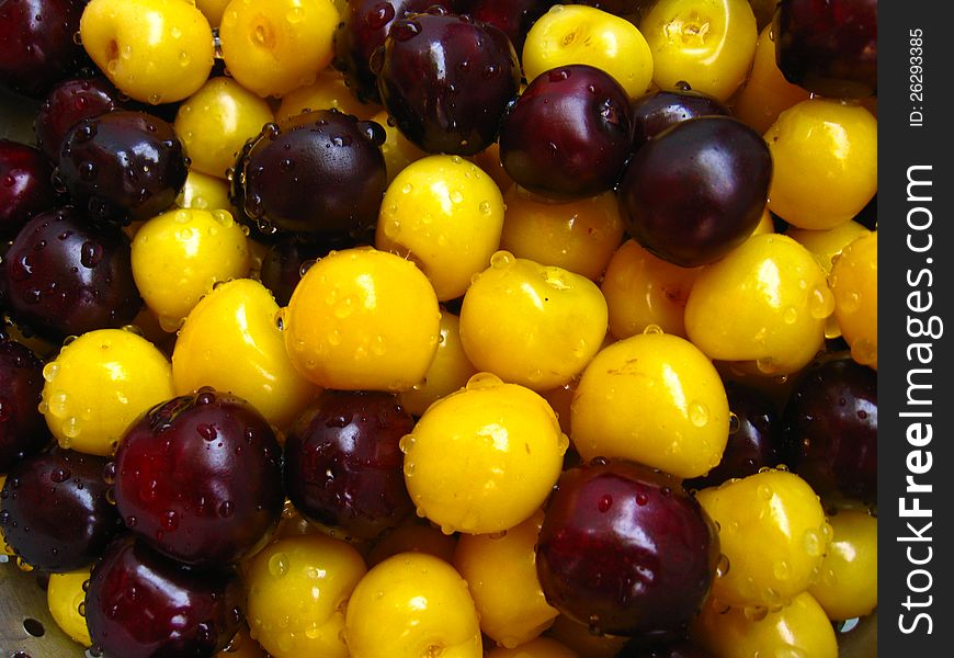 Berries of a fresh yellow and red cherry. Berries of a fresh yellow and red cherry