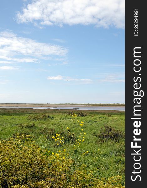 Coastal path through marshes at Blakeney in Norfolk