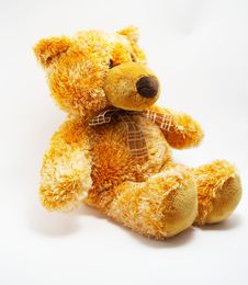 A Toy - A Soft Bear Royalty Free Stock Photo