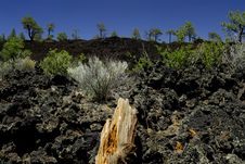 Volcanic Lava Field Royalty Free Stock Image Volcanic Lava Field Royalty Free Stock Image