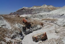 Petrified Forest National Park Royalty Free Stock Image Petrified Forest National Park Royalty Free Stock Image