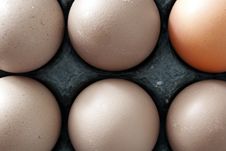Six Chicken Eggs Stock Images Six Chicken Eggs Stock Images