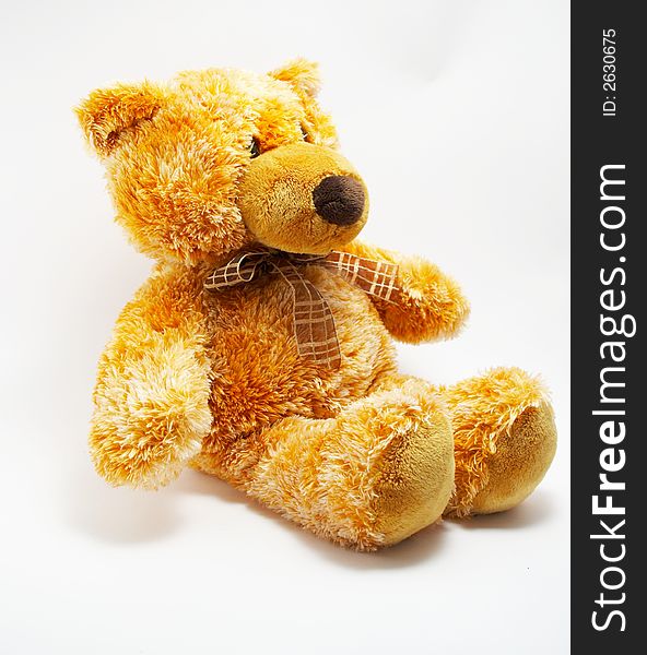 A toy - a soft bear