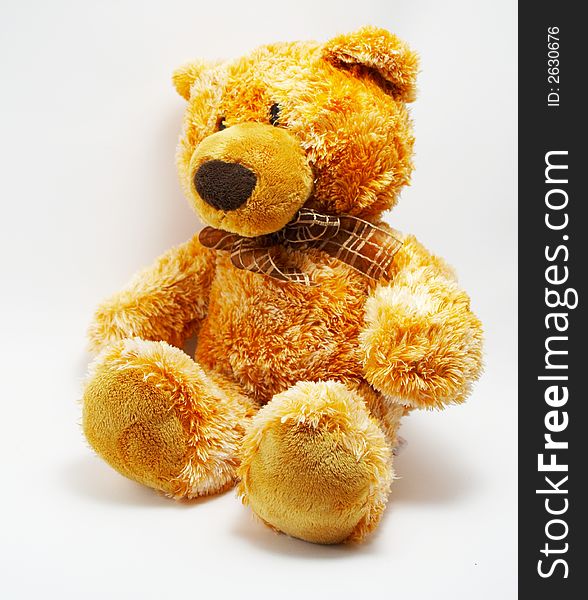 A Toy - A Soft Bear