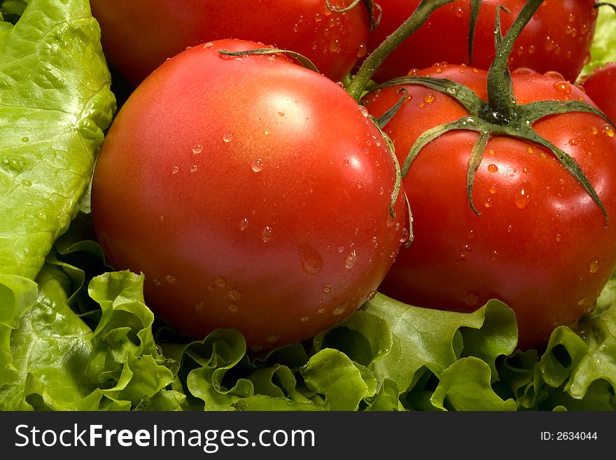 Fresh tomatoes and lettuce closeup