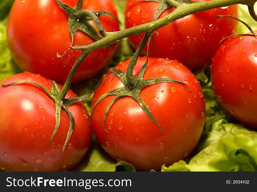 Fresh tomatoes and lettuce closeup