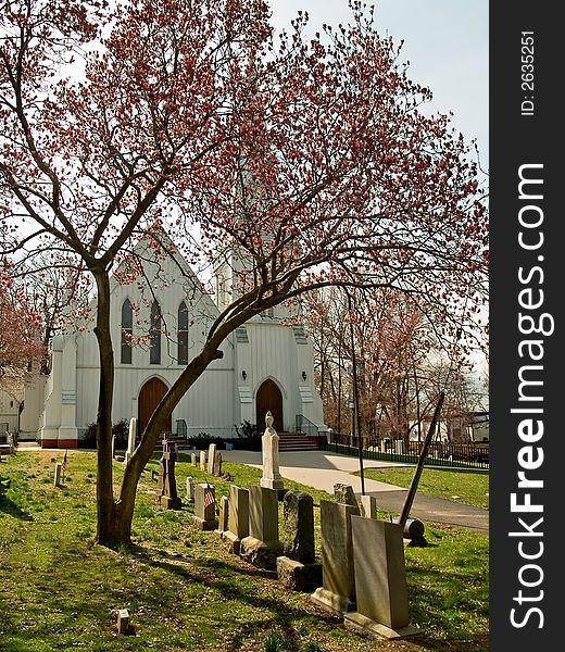 An old white church in New Jersey framed by graves and a blooming magnolia tree. An old white church in New Jersey framed by graves and a blooming magnolia tree.