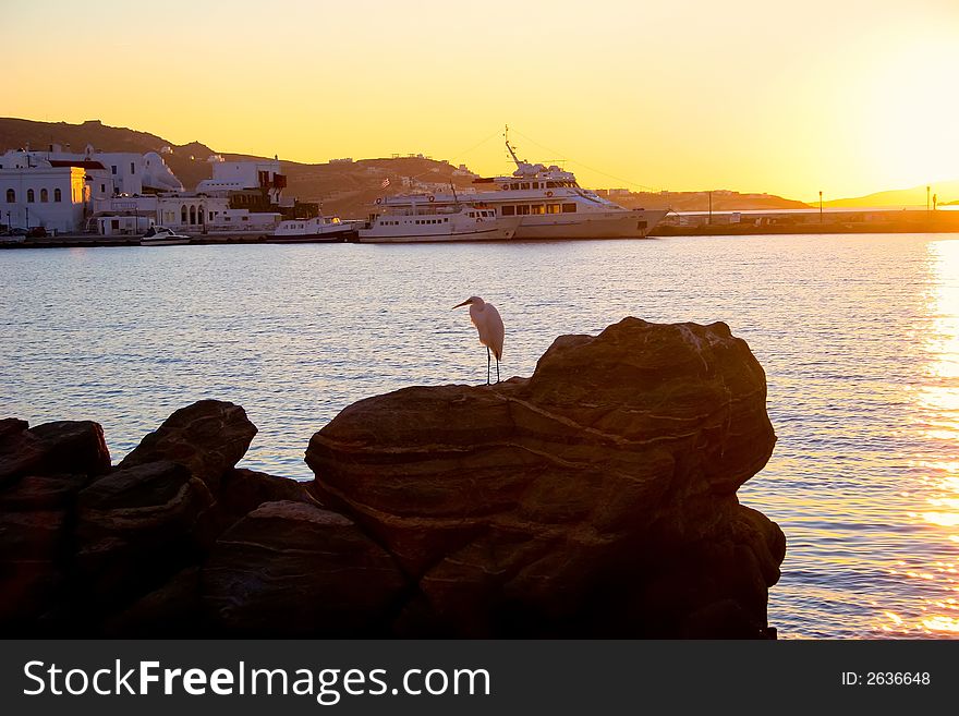 Harbor view of a egret standing on a rock formation with the setting sun. Harbor view of a egret standing on a rock formation with the setting sun