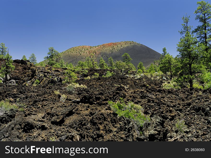 Black lava field and the Sunset Crater Volcano against a blue Arizona sky