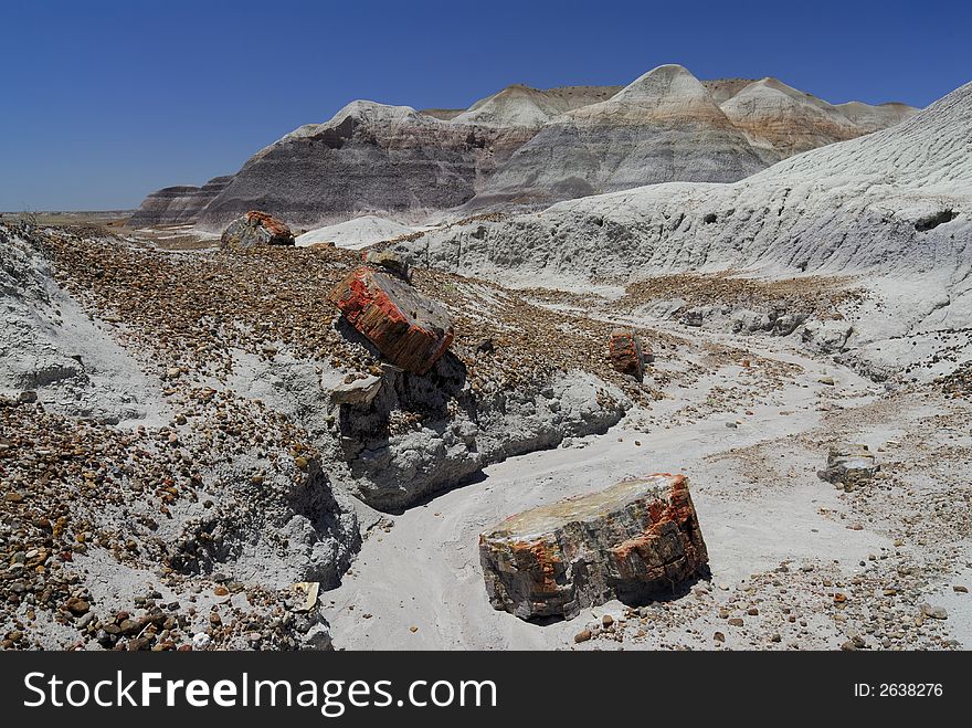 Petrified wood in the blue mesa against a blue Arizona sky in the Petrified Forest National Park