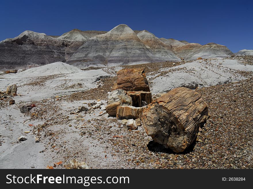 Petrified wood in the blue mesa against a blue Arizona sky in the Petrified Forest National Park