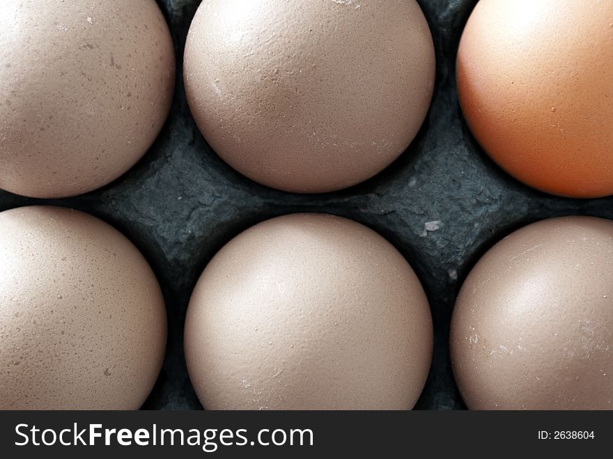 Six chicken eggs, neatly packed. 5 eggs are desaturated, one is in full colour.