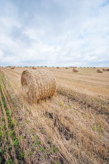 Hay Bale In The Field Stock Photography