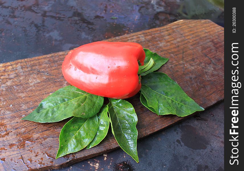 Red pepper on a wooden background close-up