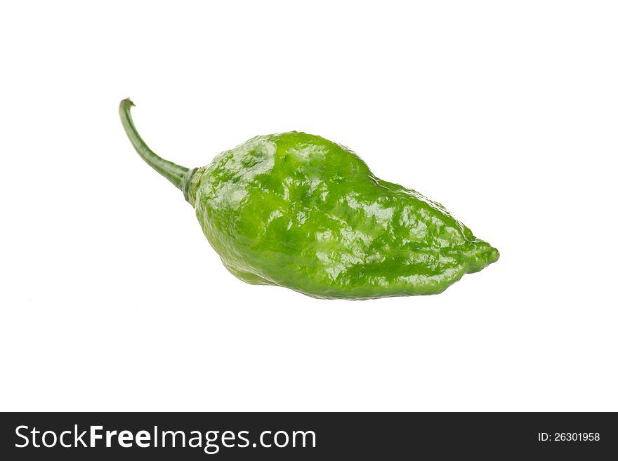 World hottest Bhut Jolokia chili pepper or the Naga Morich. World hottest Bhut Jolokia chili pepper or the Naga Morich