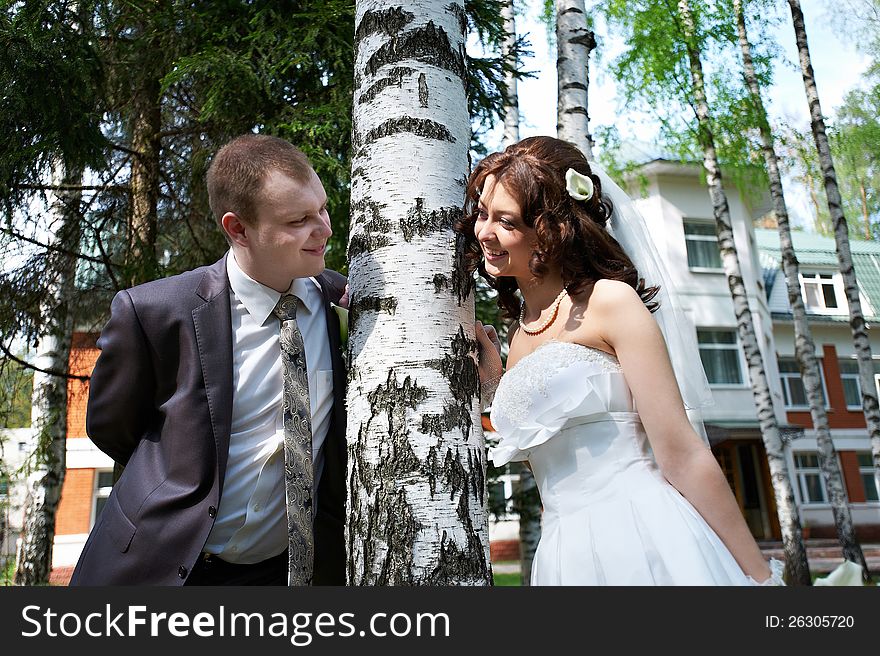 Happy bride and groom near birch on wedding walk
