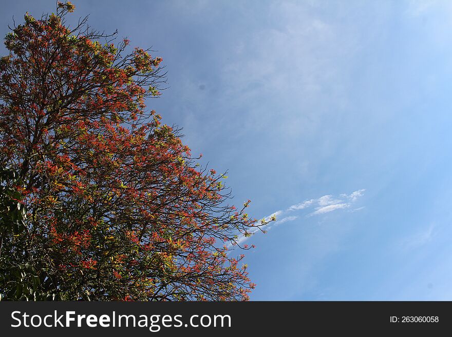 Such A Bright Autumn Background