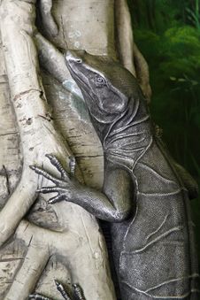 Lizard Stock Image
