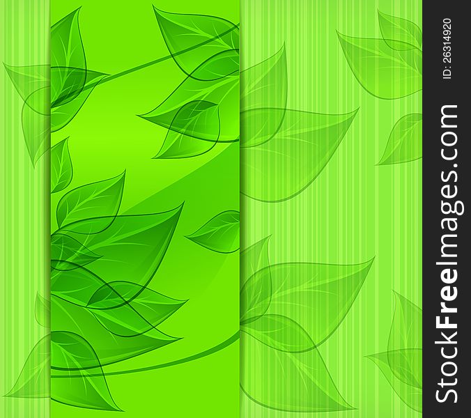 Banners with green leaves on nature background, vector illustration