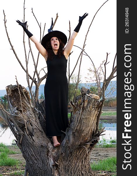 Halloween witch appeals to the sky while standing on a tree