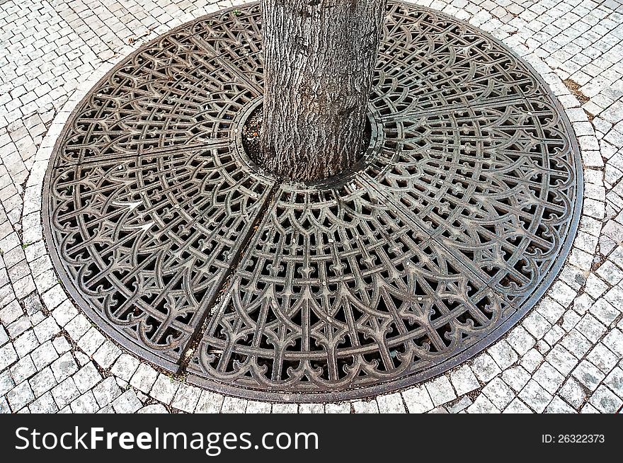 Picture of a Root tree guard