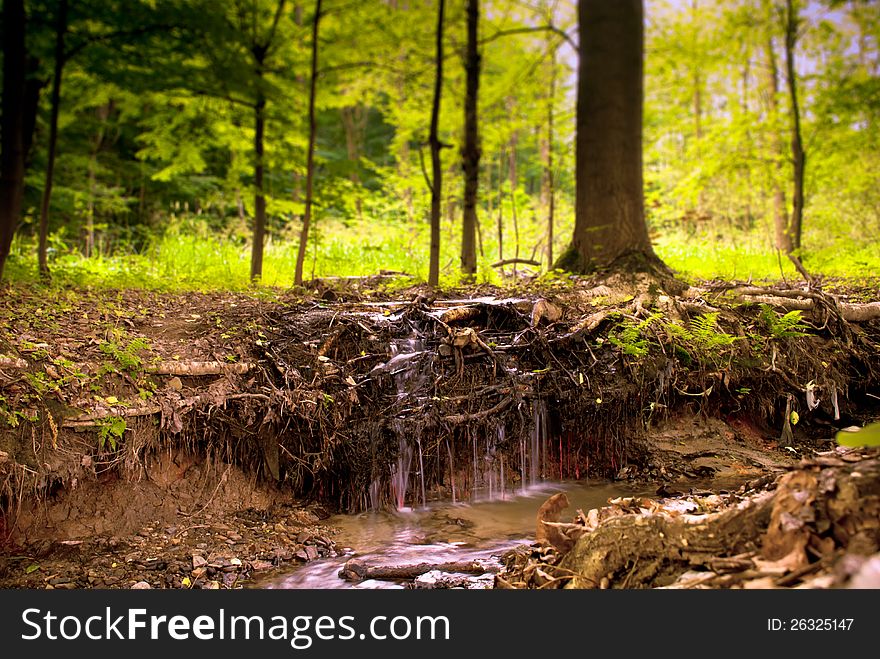 Small Waterfall in Green Forest