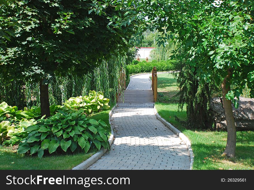 The path through the trees at the training base football team Shakhtar Donetsk, located outside the city in a clean area