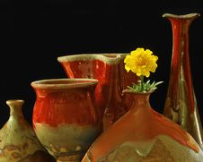 Pottery & Marigold Stock Photo Pottery & Marigold Stock Photo